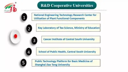 CAS 501-36-0 Ingredienti cosmetici naturali Resveratrolo Polygonum Cuspidatum antinvecchiamento