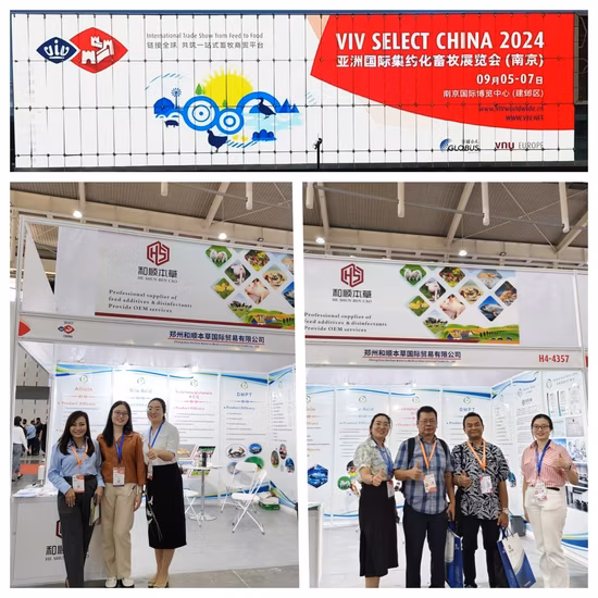 Additivi per mangimi con enzima cellulasi per l'alimentazione animale